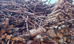 Kahramanmaraş'ta doğalgaz kullanımının artması odun ve kömürcüleri etkiledi