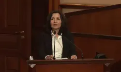 Prof. Dr. Şule Özsoy Boyunsuz kimdir? Nereli ve kaç yaşında olduğu gündem oldu