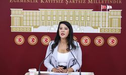 Sevda Karaca Kimdir? Hangi Partiden Milletvekili Seçildi?