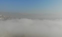 Kahramanmaraş'ta sis etkili oldu: Sürücüler zor anlar yaşadı