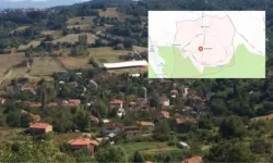 Yalova Elmalık Köyü Nerede, Nasıl Gidilir? İstanbul’dan Kaç Saat Sürüyor?