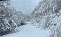 ZONGULDAK'DA OKULLAR TATİL Mİ? 30 Aralık Zonguldak'da okullar var mı yok mu?