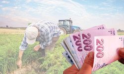 Kahramanmaraş'taki çiftçilere güzel haber! Bakan Yumaklı açıkladı