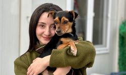 Fatma Arat Kimdir? Hanimiş Benim Tontişim Videosunun Sahibi