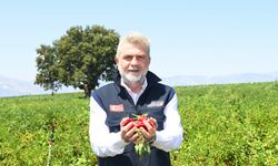 Fırat Görgel'den Üreticiye Müjde: Tarımda 100 Milyonluk Yatırım