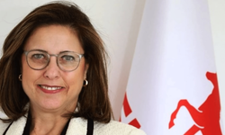 İlay Aksoy Kimdir? Siyasi Kariyeri ve Hayat Hikâyesi