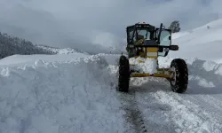 Kahramanmaraş'ta 156 mahalle yolu kardan ulaşıma kapandı