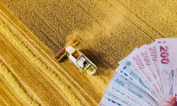 Kahramanmaraş'ta çiftçiye destek yağmuru: 255 milyon TL hesaplarda