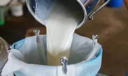 Kahramanmaraş’ta çiğ süt fiyatı belli oldu: Litresi bakın ne kadar oldu