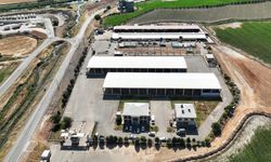 Kahramanmaraş'ta canlı hayvan pazarı kapatıldı