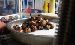 Kahramanmaraş'ta kestane tehlikesi! Bunları yiyen hastanelik oluyor