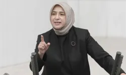 Özlem Zengin Kimdir? AK Parti Grup Başkanvekilinin Hayatı