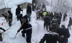 Van'da Yerleşim Yerine Çığ Düştü! Çok Sayıda Ev Boşaltıldı