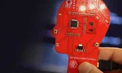 Empa Elektronik (EMPAE) Halka Arz Başvuru Ekranı: Kişi Başı Kaç Lot Düşer?