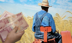 Kahramanmaraş'taki çiftçilere güzel haber! Ödemeler hesaplara yattı