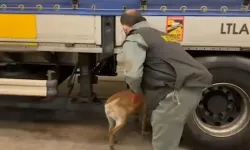 Bakan Yerlikaya Duyurdu: Sınırda Dev Operasyon! 240 Kilo Skunk Ele Geçirildi