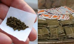 Maraş Otu Orucu Bozar Mı? Niyetliyken Maraş Otu Mu, Kaza Gerekir Mi?