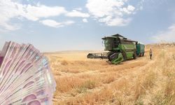 Kahramanmaraşlı çiftçilere can suyu! Destek ödemeleri hesaplarda