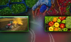 Kahramanmaraş'ta çiftçileri yakından ilgilendiriyor; uygulamayana para cezası var!