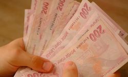 Vatandaşlık Maaşı Şartları Belli Oldu: Kimler Yararlanabilir?