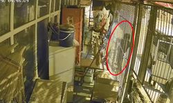 GBT sorgusu bitmek bilmedi! Kahramanmaraş'ta iz bırakan hırsız sonunda yakalandı!