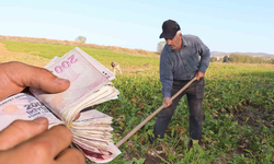 Kahramanmaraş'taki çiftçilere can suyu! Destek ödemeleri hesaplarda