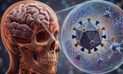 İstilacı Menenjit Nedir, Öldürür mü? 2026 Menenjit Belirtileri ve Korunma Yolları