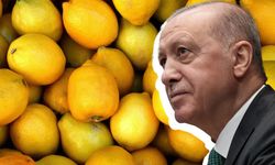 Kahramanmaraş'ta limon alarmı: Erdoğan imzayı attı, vergi düştü