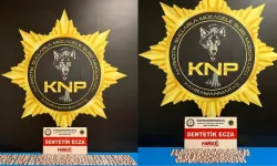 Kahramanmaraş'ta sokakları zehirleyeceklerdi, hücreyi boyladılar