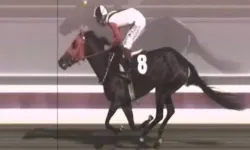 SMART LATCH OLAYI NEDİR? Kavurmada çıkan çip hangi atın, sahibi Suat Topçu kimdir?