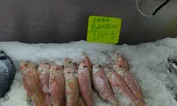 Kahramanmaraş’ta Balık Tüketimi Düştü: Yüksek Fiyatlar Etkili Oldu