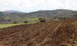 Kahramanmaraş'ta Çiftçiye Dev Destek: Atıl Araziler İçin %75 Hibe Müjdesi