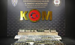 Kahramanmaraş’ta kaçakçılık operasyonu