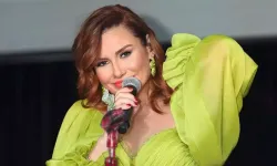 Deniz Seki Kimdir? Ünlü Sanatçının Kariyeri ve Biyografisi