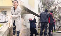 Kahramanmaraş'ta Çatıda Mahsur Kalan Hamile Kediyi Polis ve İtfaiye El Ele Kurtardı