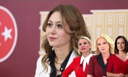 Kanayan yaraya MHP'li vekil Karakoç parmak bastı