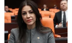 Nilhan Ayan Kimdir? AK Parti'de Yeni Görevine Başladı