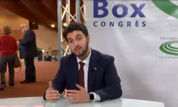 Zana Gümüş Kimdir? Avrupa Konseyi'ndeki Yeni Görevi ve Hayatı