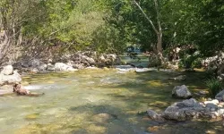 Kahramanmaraş Karasu Vadisi’nde Serinlik ve Huzur