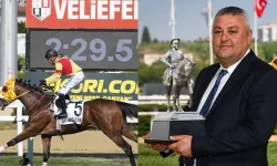 Bay Nalçakan Sahibi Kim? Emrah Nalçakan Kimdir ve Ne İş Yapar?