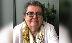 Dr. Hülya Arı kimdir, neden öldü? İTÜ Mimarlık Bölümü'nün acı vefatı