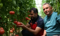 Seralarda İlaç Dönemi Bitti: Kahramanmaraş Tarımda Doğal Devrimi Başlattı!