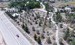 Kahramanmaraş'ta Dev Mezarlık Seferberliği: Tam 736 Nokta Bakıma Alınıyor