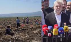 Kahramanmaraş’ın "Beyaz Altını" Pazarcık’ta Hasat Ediliyor: Üreticiye Büyük Destek