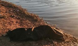Kahramanmaraş’ta Ceyhan Nehri’nde kaybolmuştu cesedine ulaşıldı