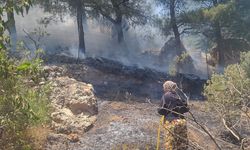 Kahramanmaraş'ta orman yangını büyümeden söndürüldü