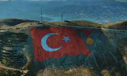 2527 Sayılı Kanun Nedir? Türk Soylu Yabancı Başvuru Şartları