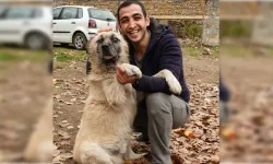 Melis Alaei kimdir, kaç yaşında? Kocakarı Ansiklopedisi Melis Alaei nereli?