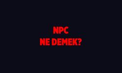 NPC Nedir? Sosyal Medyada Neden Herkes Bu Terimi Kullanıyor?