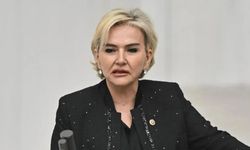 Nimet Özdemir kimdir, asıl mesleği nedir? Milletvekilinin evliliği merak edildi